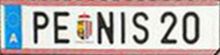 PE*NIS 20