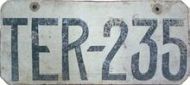 TER-235 TER-235
