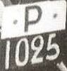 P/1025 P/1025