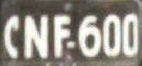 CNF-600