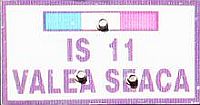 IS 11/VALEA SEACA