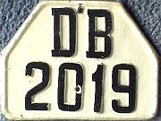 DB/2019