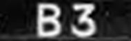B3