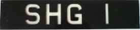 SHG 1