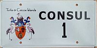 *|CONSUL/1 *|CONSUL/1