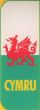Euroband CYMRU