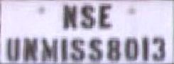 NSE/UNMISS8013 NSE/UNMISS8013