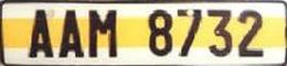 AAM 8732