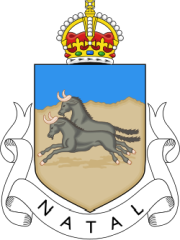 Natal c&iacute;mere